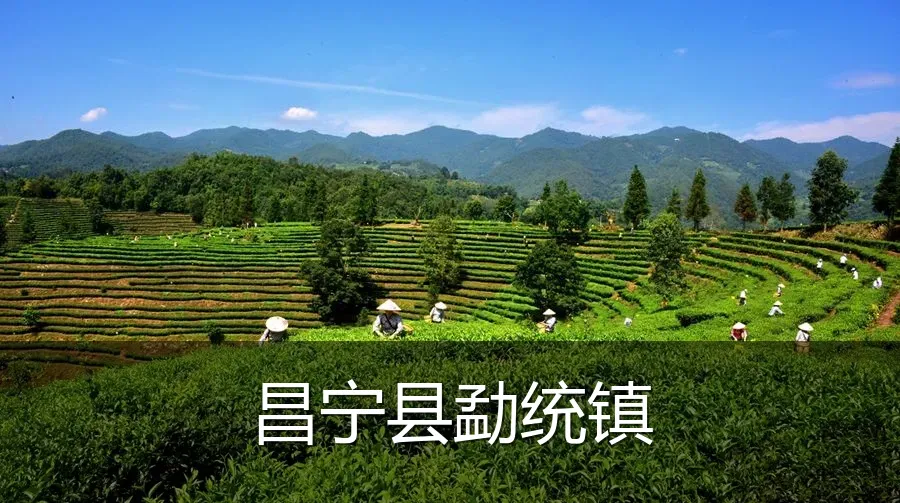 昌宁县勐统镇